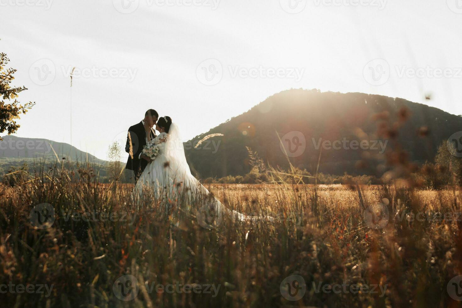 bröllop Foto. de brud och brudgum stå kissing i en fält mot de bakgrund av träd och stor berg. Foto i en ljus nyckel. par i kärlek. eleganta brudgum