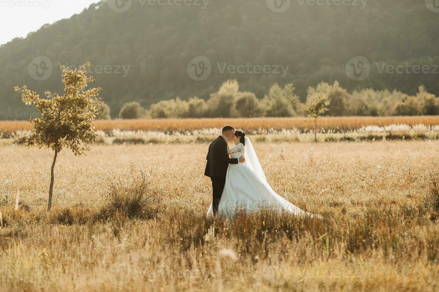 bröllop Foto. de brud och brudgum stå kissing i en fält mot de bakgrund av träd och stor berg. Foto i en ljus nyckel. par i kärlek. eleganta brudgum