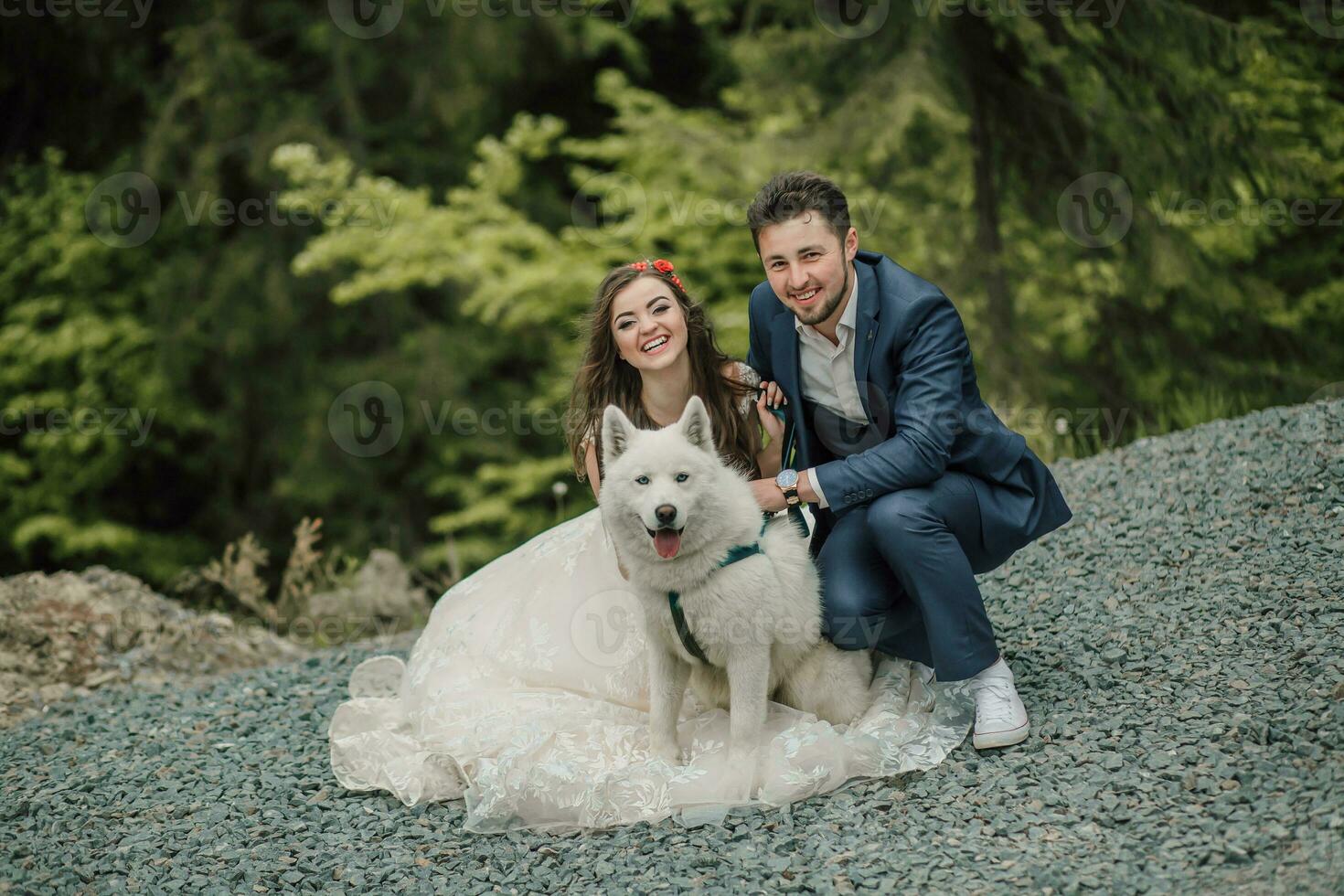 brud med lång hår, leende vänliga hälsningar, Lycklig eleganta brudgum, Foto med hund. bröllop Foto session i natur. Foto session i de skog av de brud och brudgum.