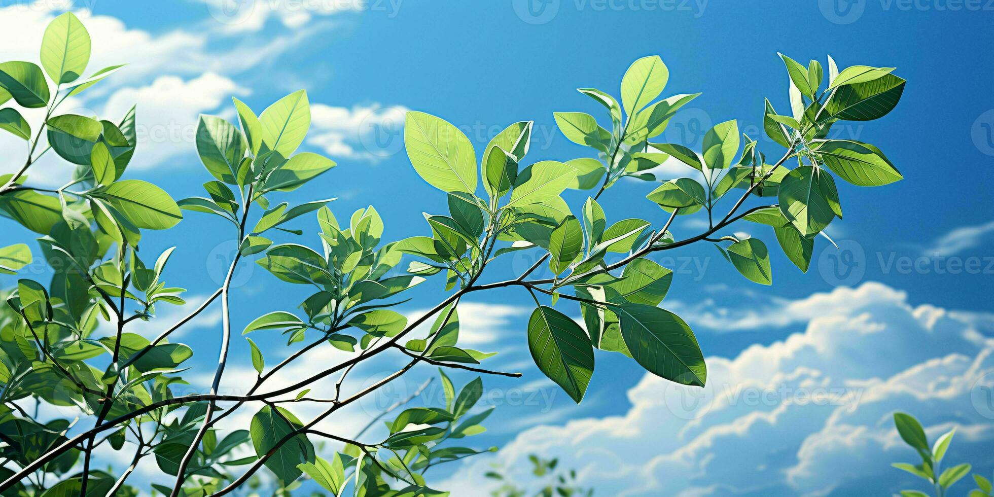 ai genererad färsk grön löv med molnig blå himmel se. generativ ai foto