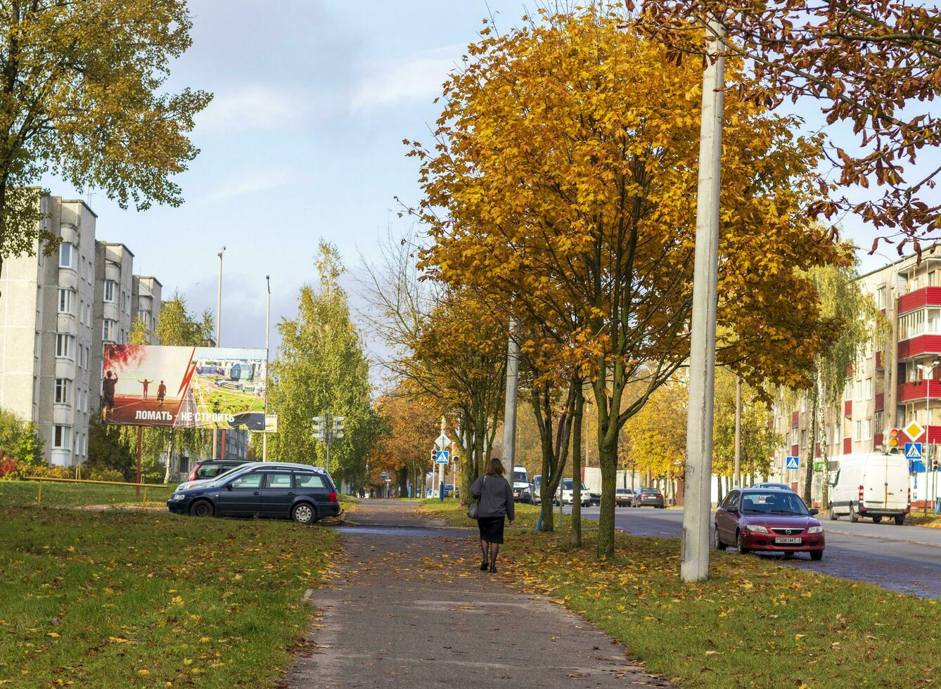 minsk, Vitryssland - 10.14.2023 - skott av de färgrik höst träd. natur foto