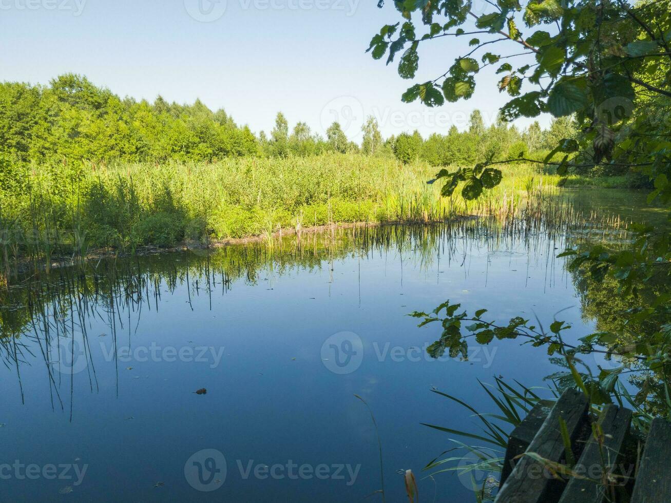 landskap skott av de damm. utomhus foto