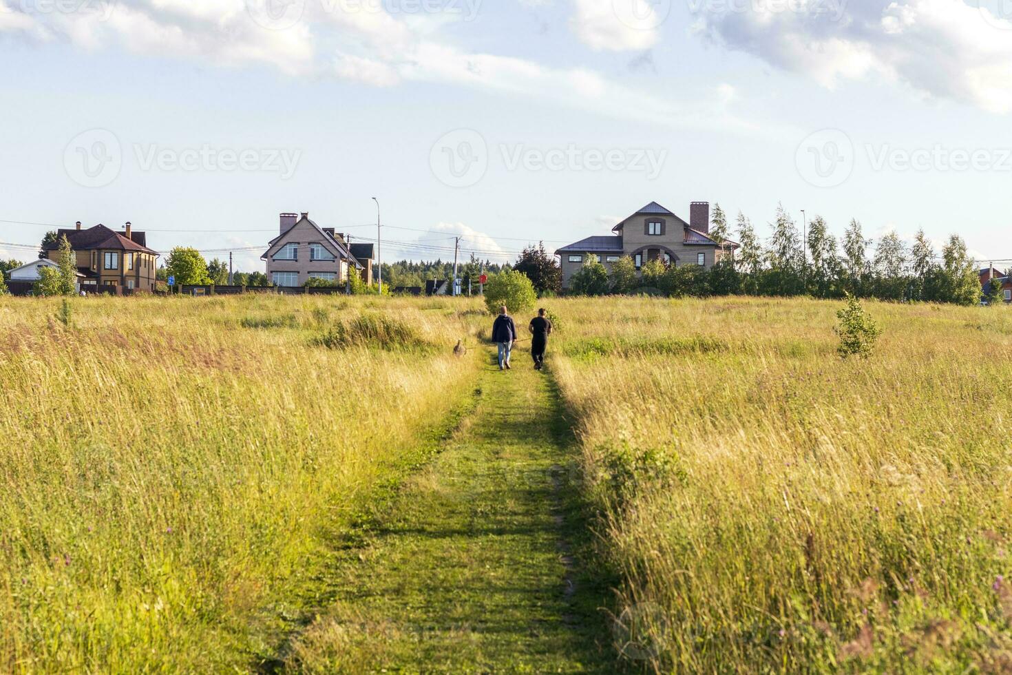 landskap skott av de fält i de by. utomhus foto