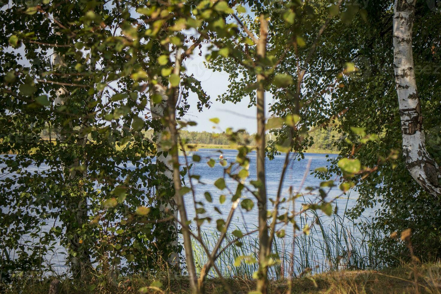 landskap skott av de damm. utomhus foto