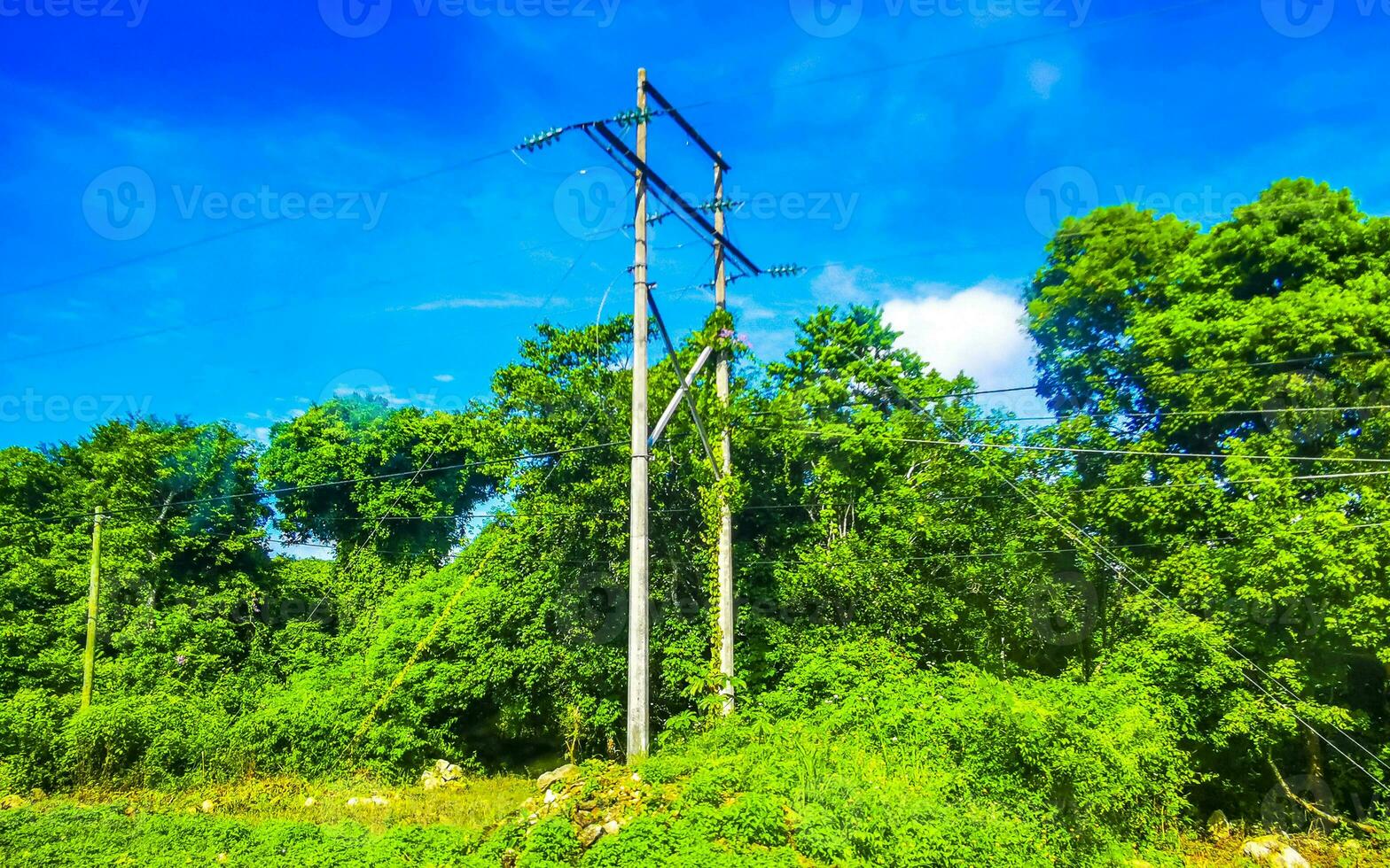 elektricitet pylon kraft Pol i de tropisk djungel skog Mexiko. foto