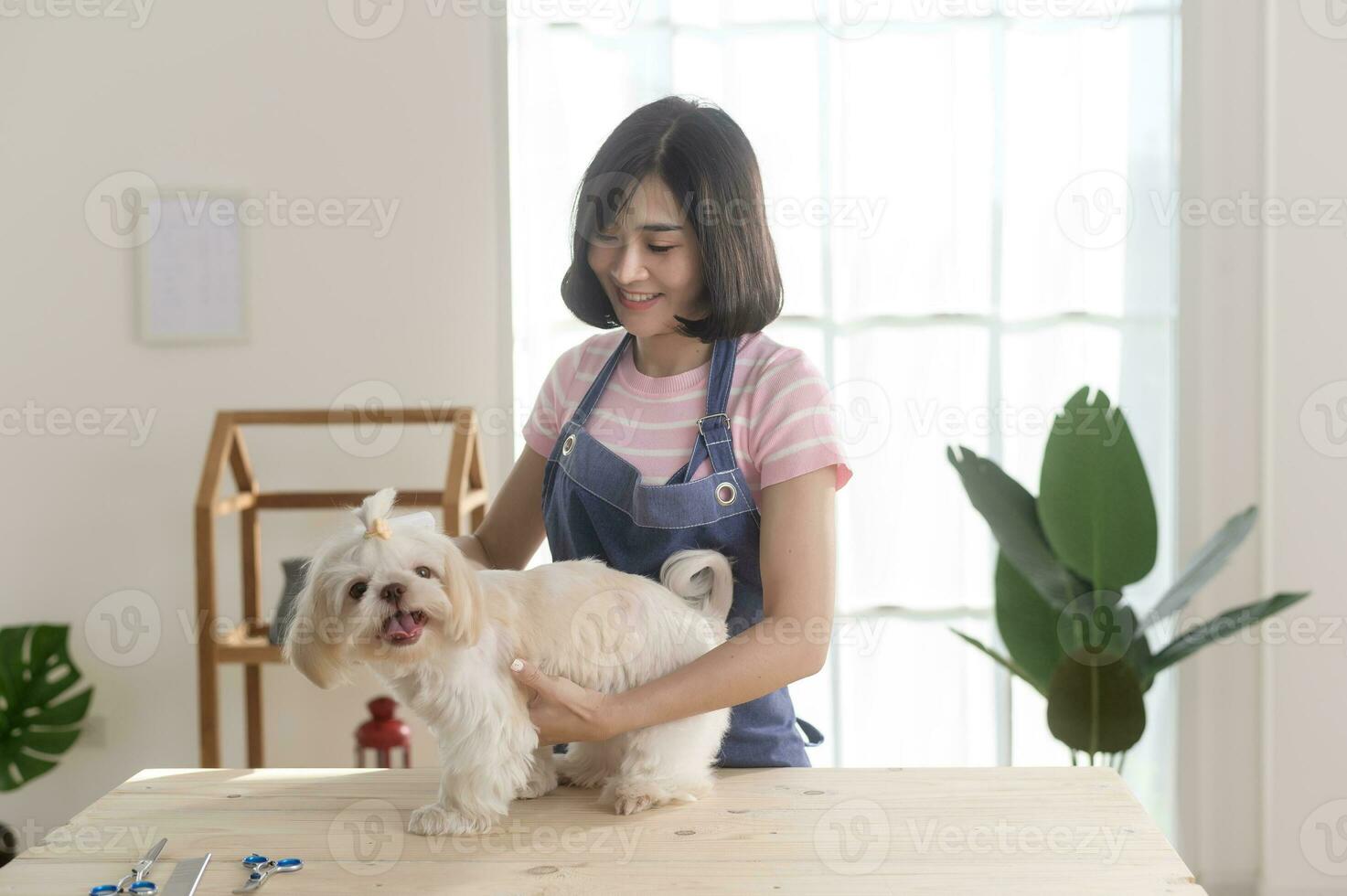 kvinna professionell groomer trimning frisyr och kammande hund päls på sällskapsdjur spa grooming salong foto