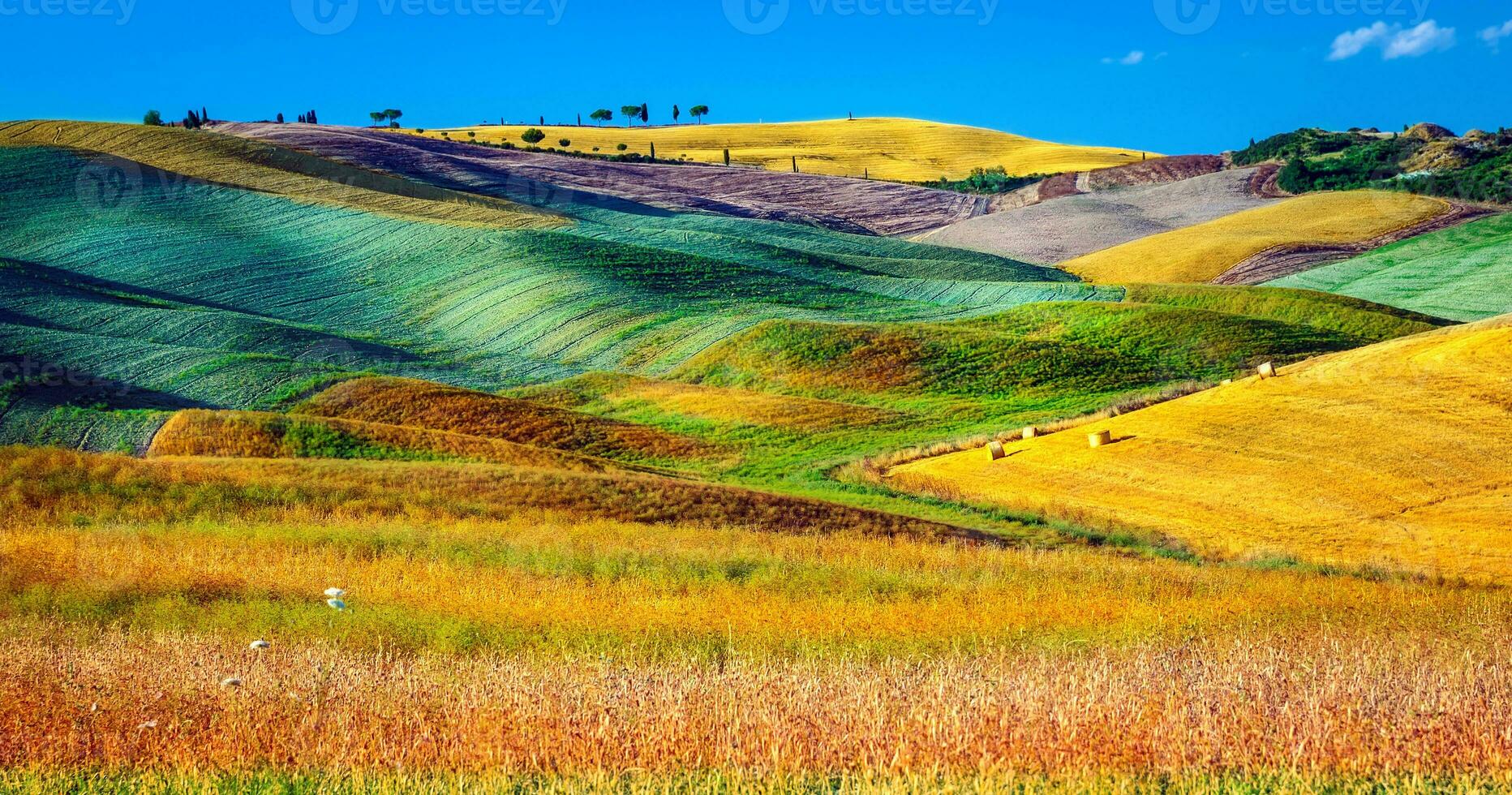 vackert jordbrukslandskap foto