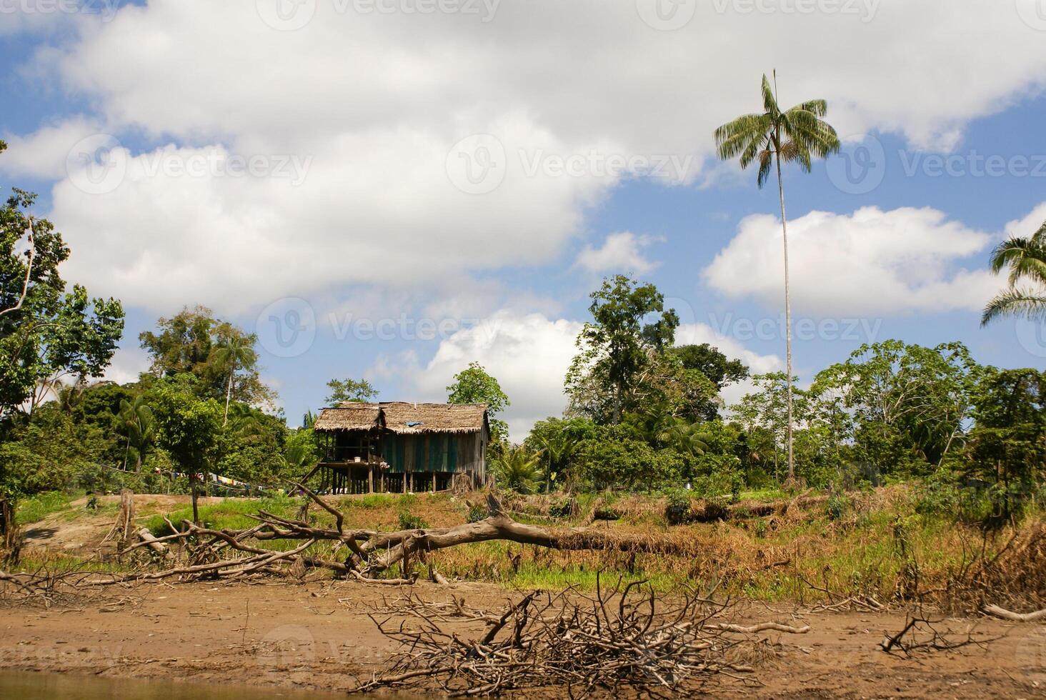 peru, peruvian amazonas landskap. de Foto närvarande typisk indisk stammar lösning i amazon