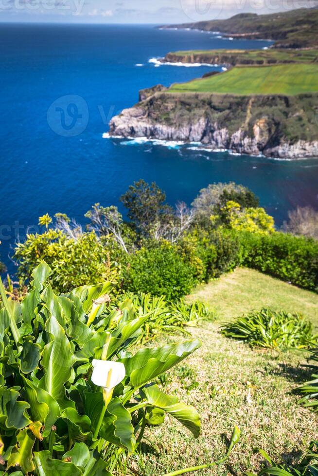 grön ö i de atlanten hav, sao miguel, Azorerna, portugal foto