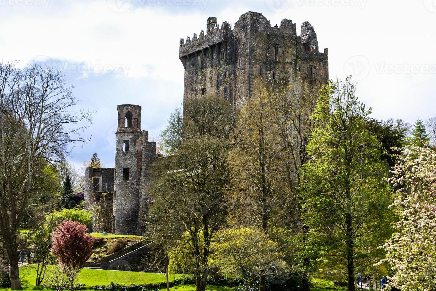 irländsk slott av blarney , känd för de sten av vältalighet. irland foto