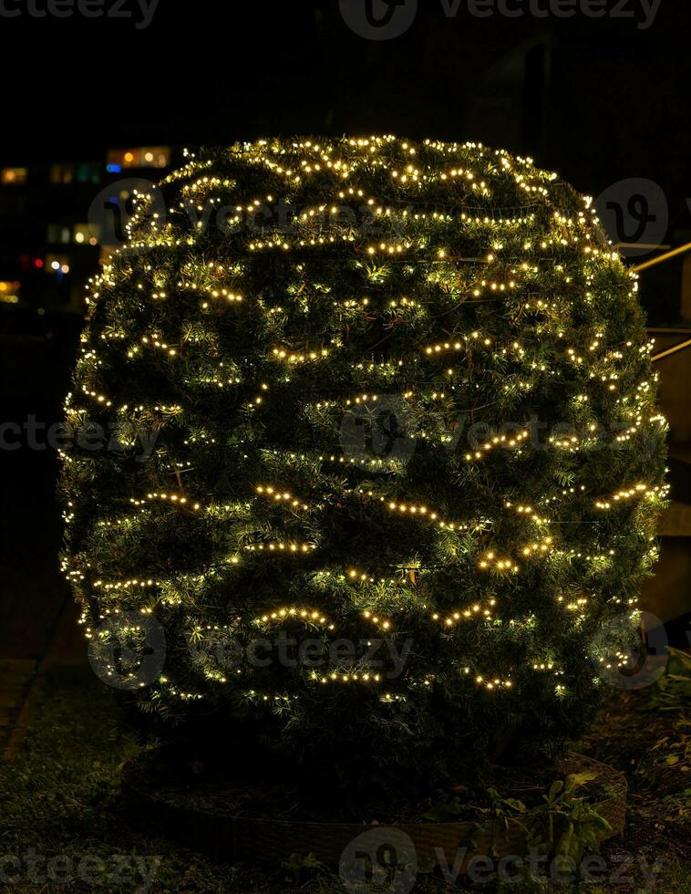 grön gran träd grenar med led lampor foto