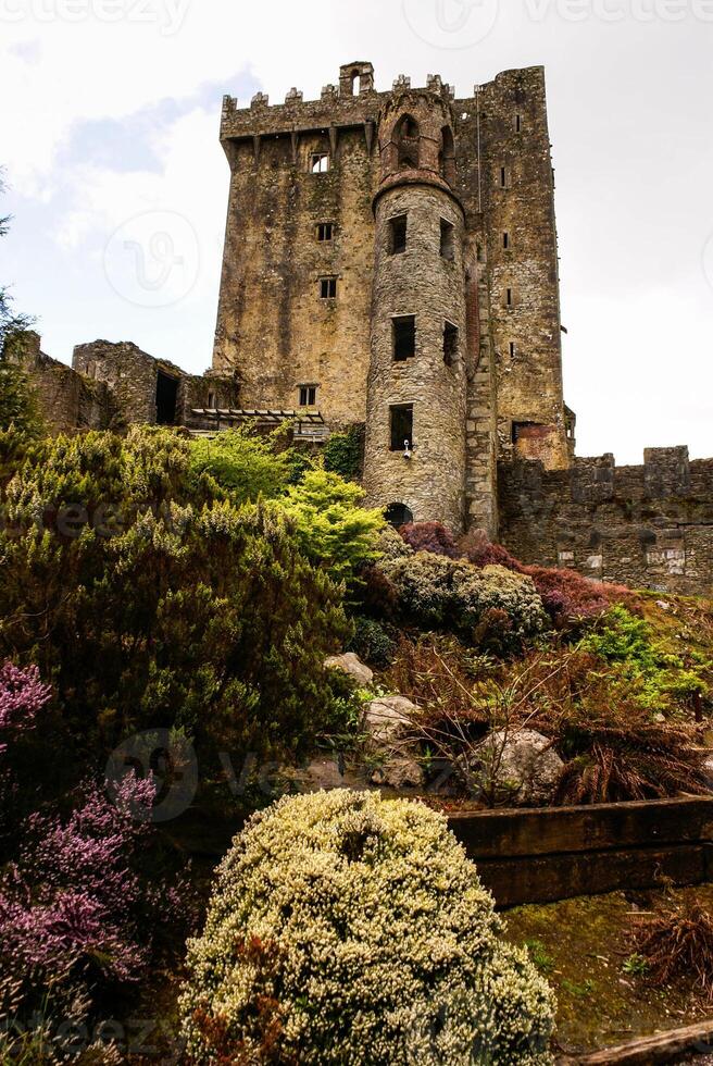 irländsk slott av blarney , känd för de sten av vältalighet. irland foto