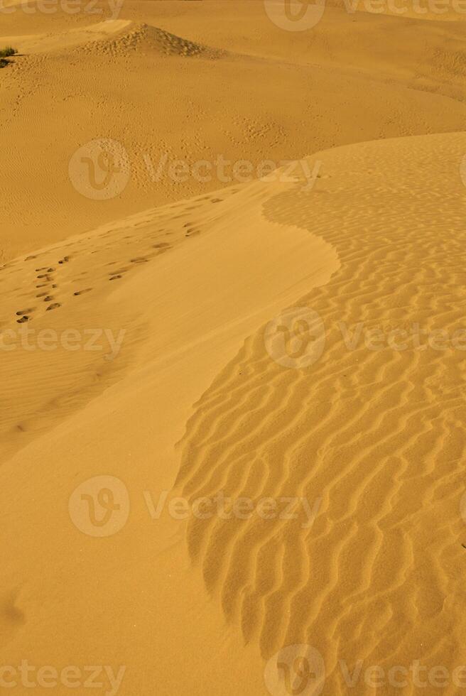 las dunas de maspalomas på gran canaria foto
