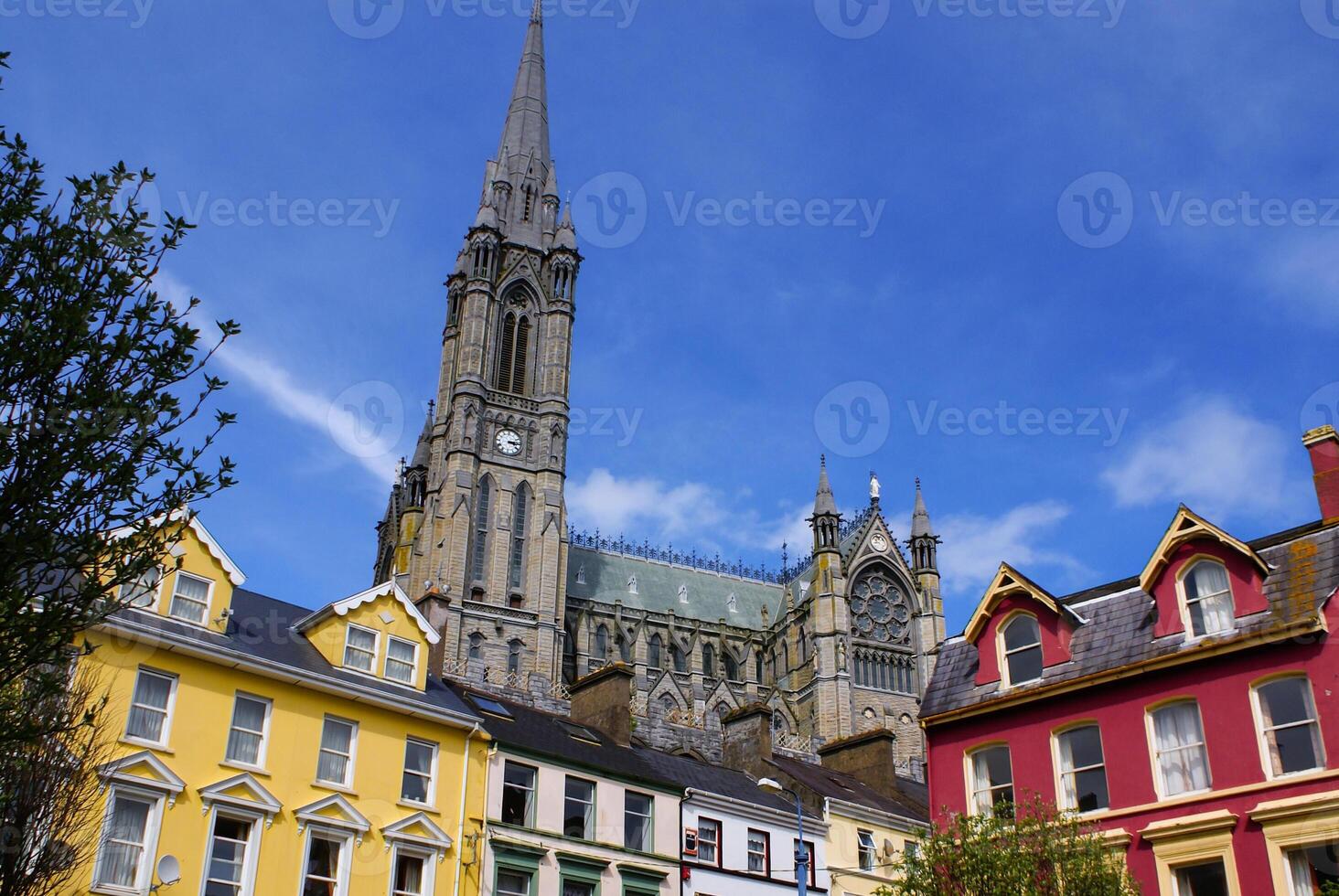 st. colmans nygotiska katedral i cobh, söder irland foto