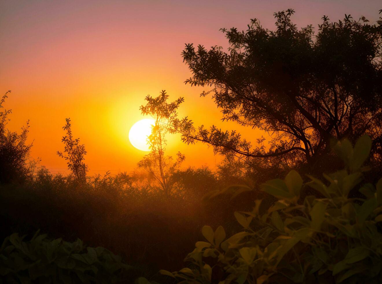 ai genererad skön solnedgång i de skog bakgrund foto