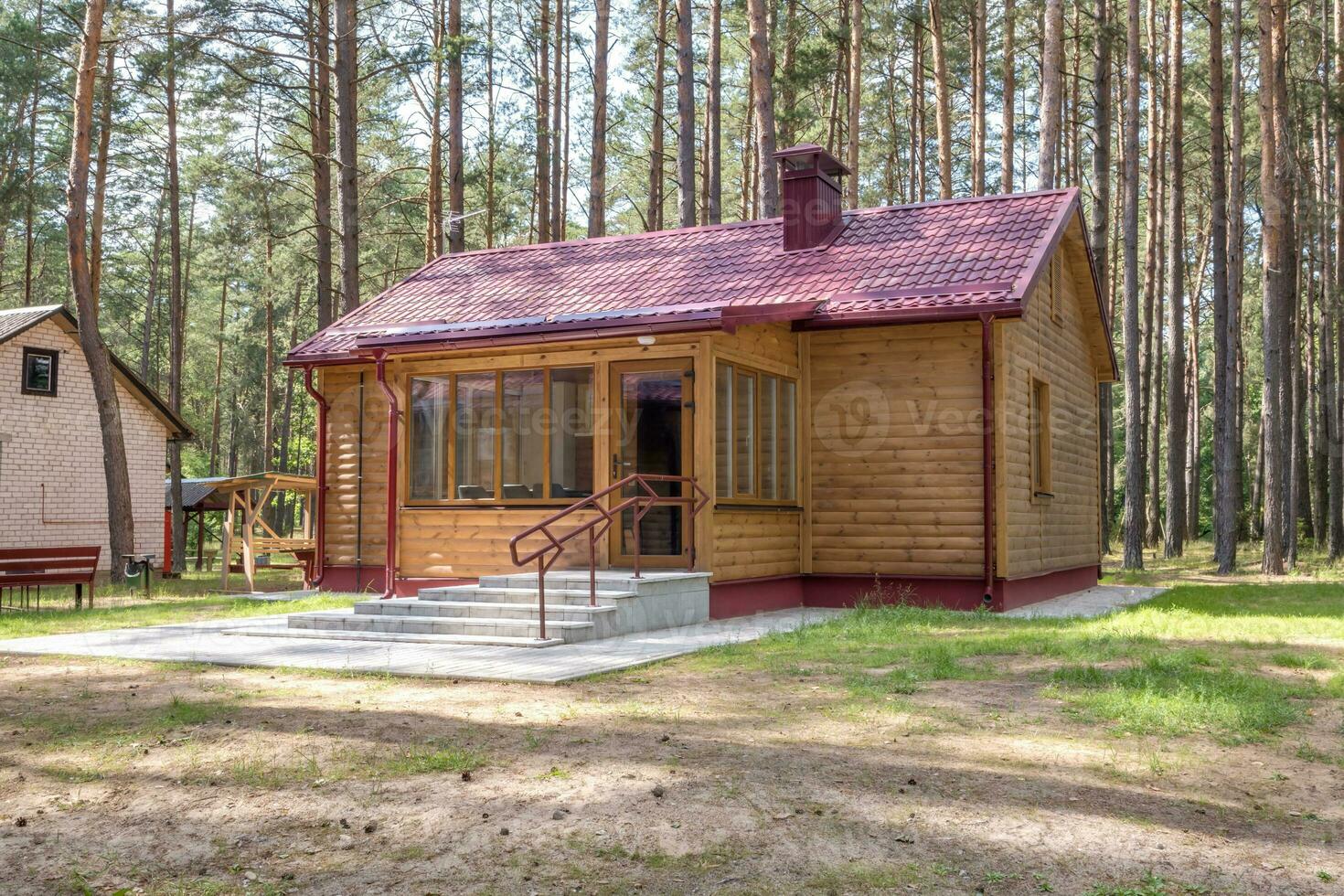 trä- eco Land hus i pinery skog foto