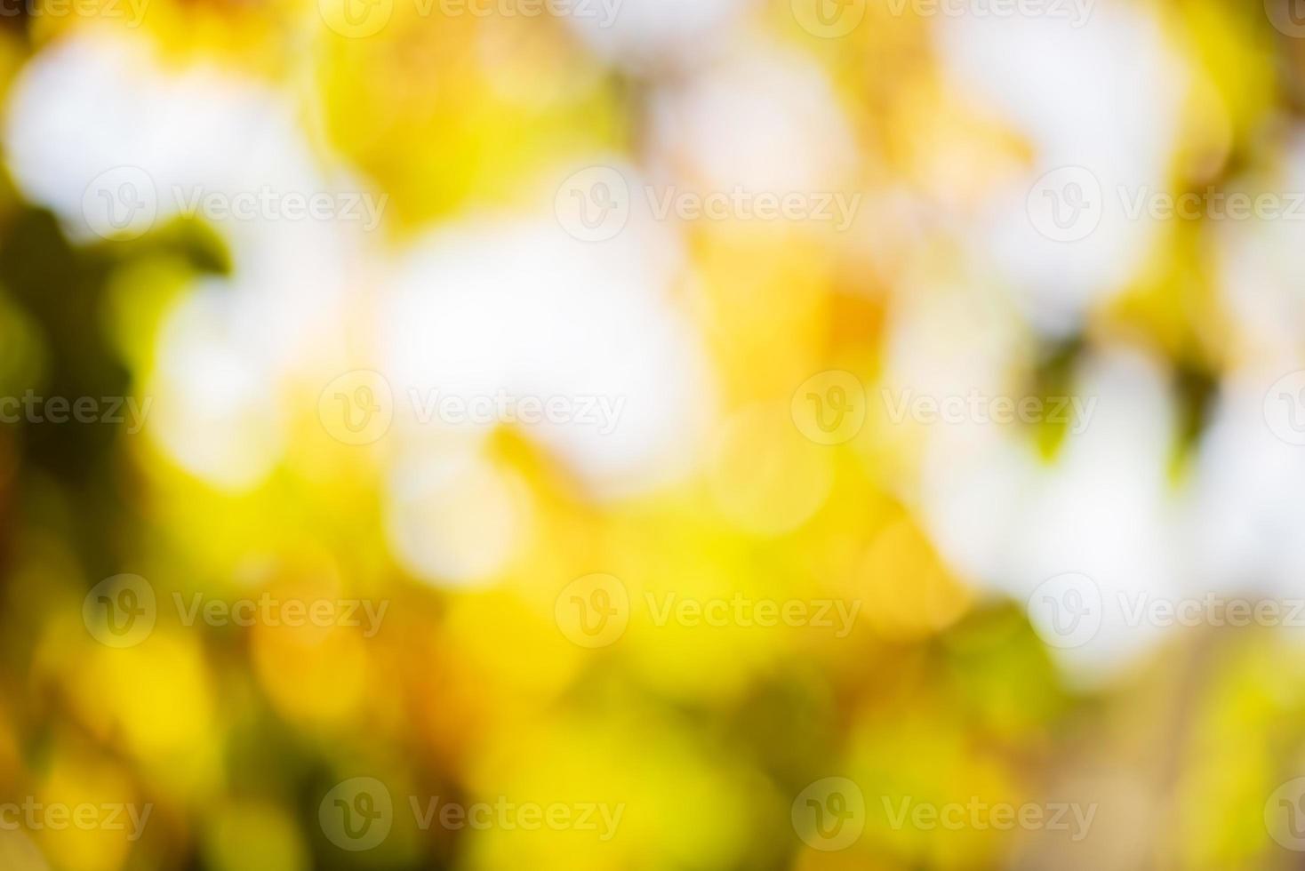defocus ljus suddig höstbakgrund med gula och gröna blad. höst bakgrund. foto