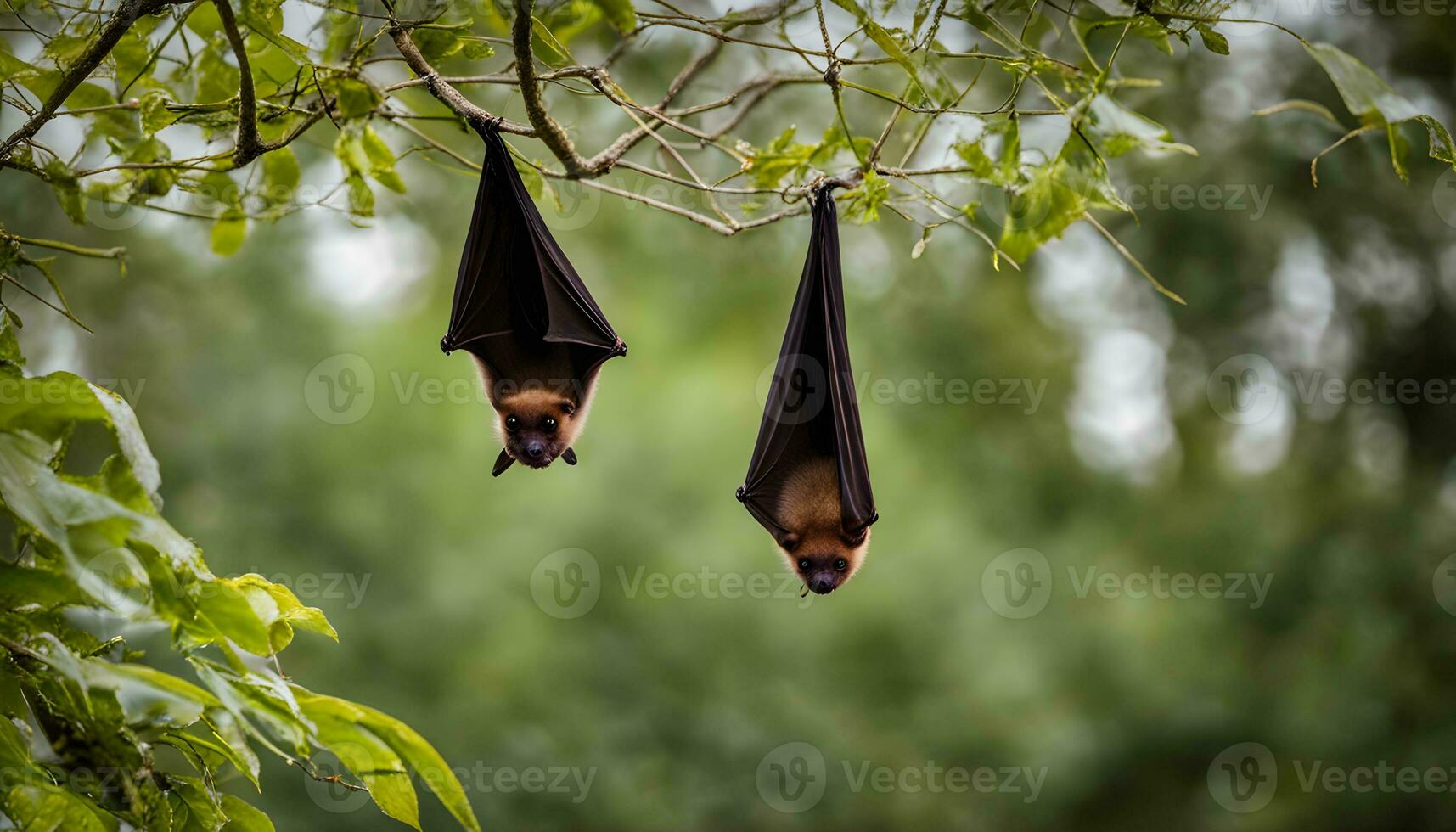 ai genererad två fladdermöss hängande upside ner från en träd gren foto