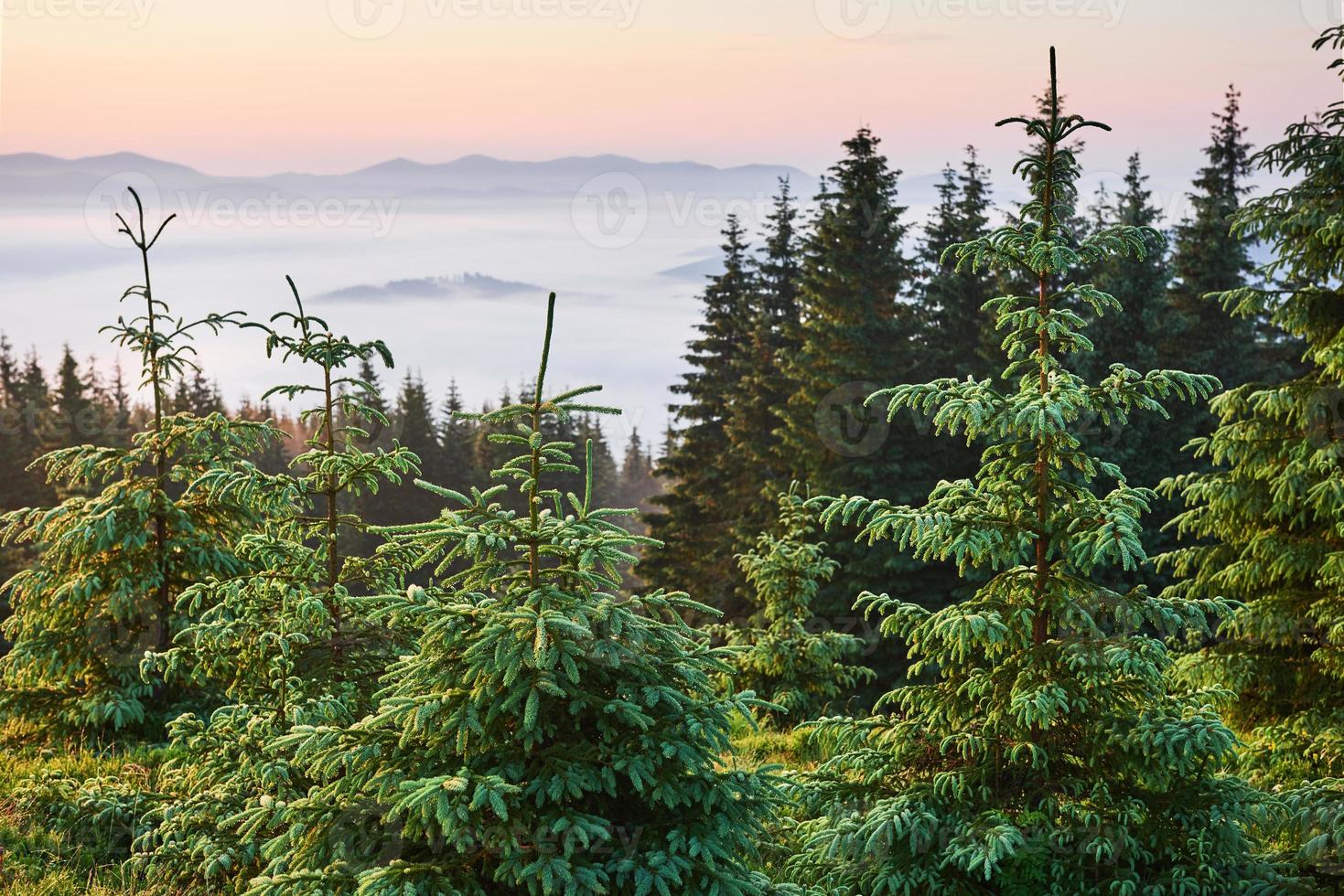 resa, vandring. sommarlandskap - berg, grönt gräs, träd och blå himmel foto