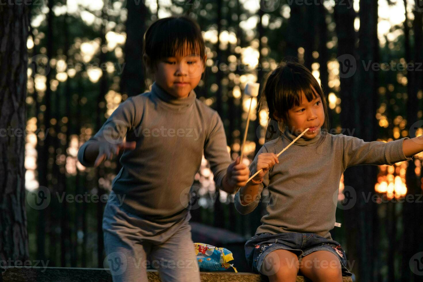 söt liten systrar rostning marshmallows på lägereld. barn har roligt på läger brand. camping med barn i vinter- tall skog. Lycklig familj på semester i natur. foto