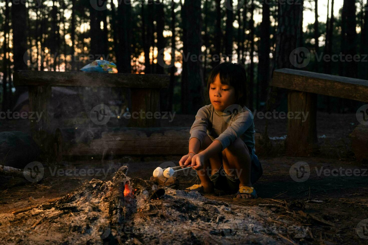 söt liten systrar rostning marshmallows på lägereld. barn har roligt på läger brand. camping med barn i vinter- tall skog. Lycklig familj på semester i natur. foto