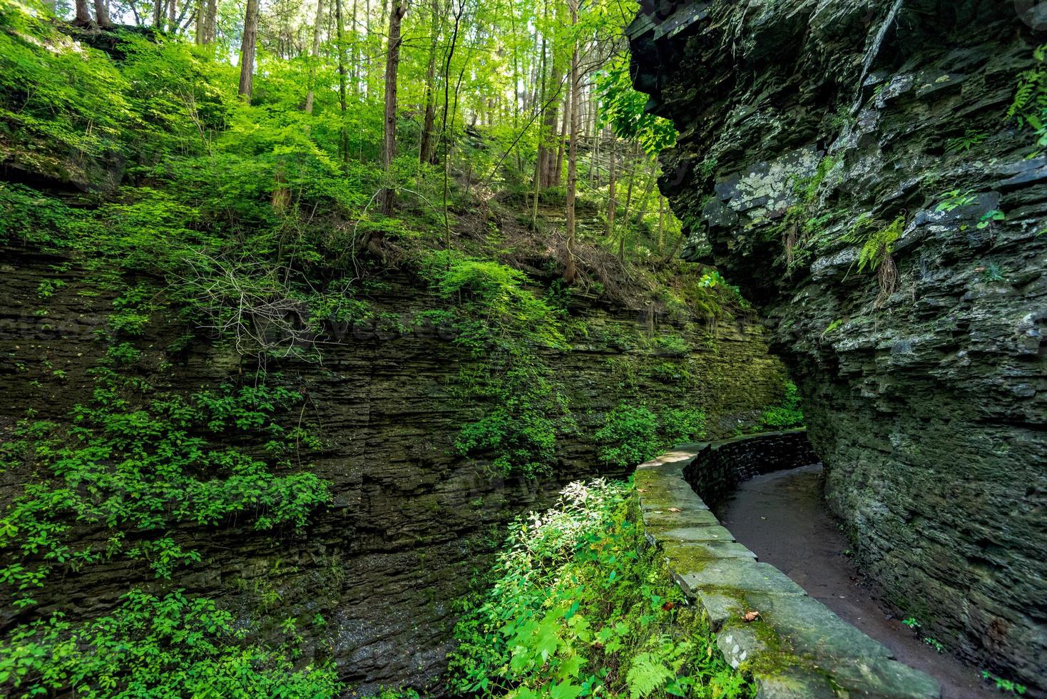 Watkins Glen State Park foto