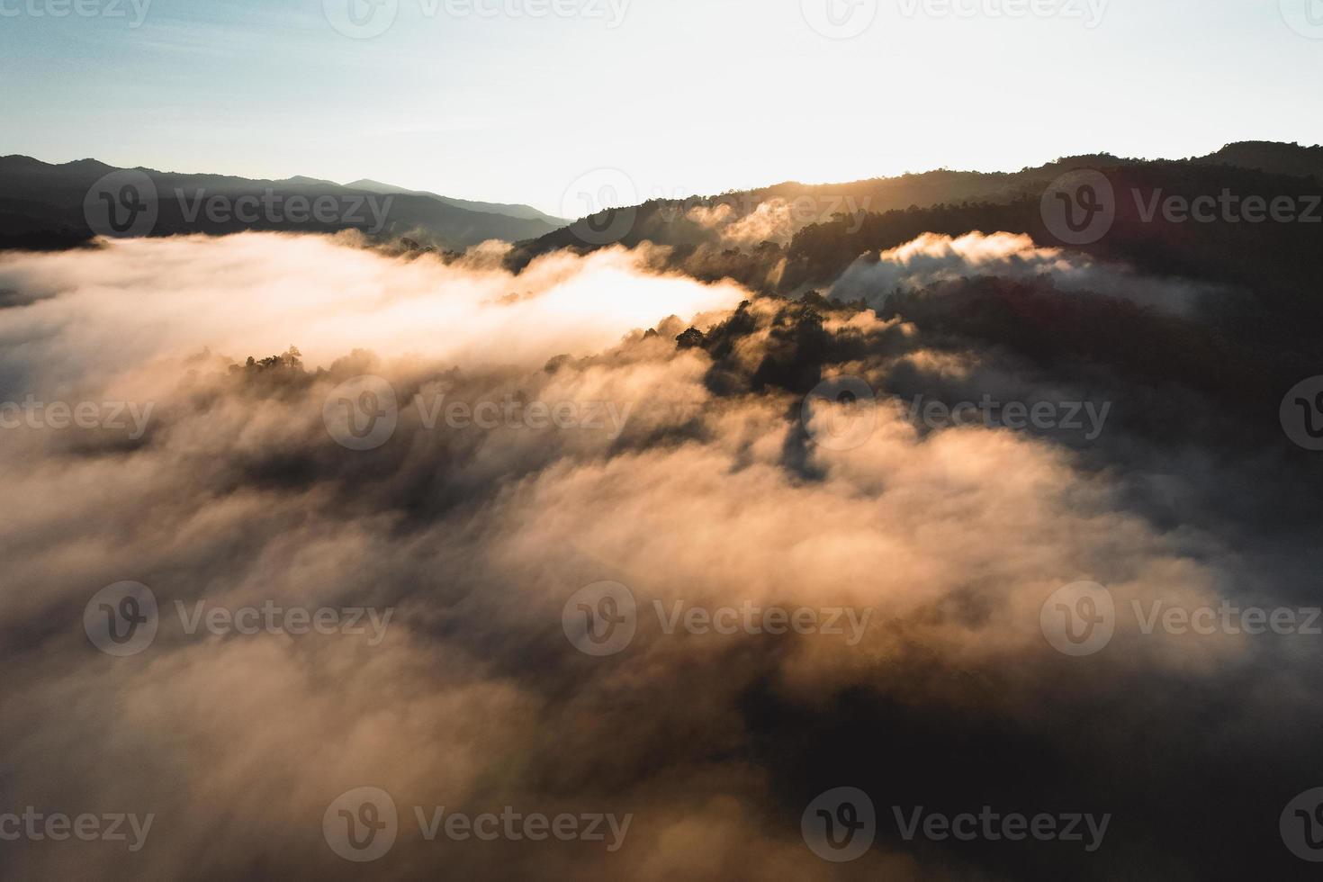 morgondimma i skogen uppifrån foto