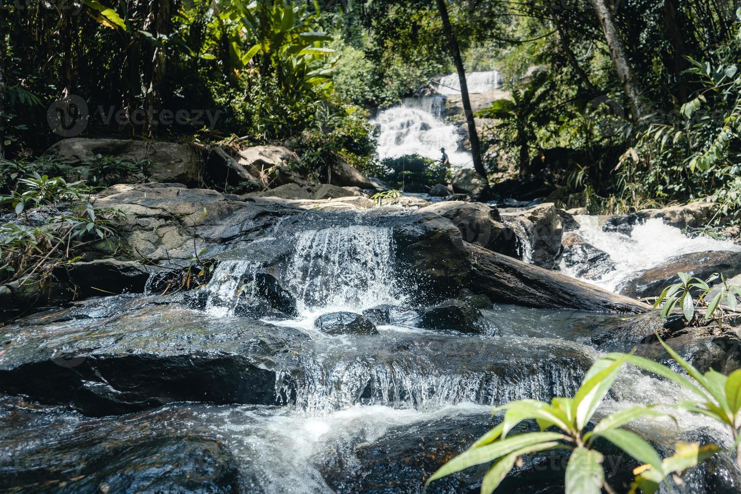 vattenfall i en tropisk skog på dagtid foto