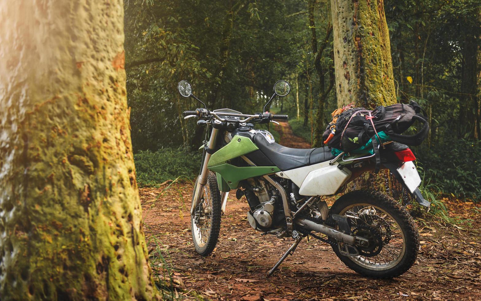 äventyrsresande enduromotorcykel i bergskog. foto