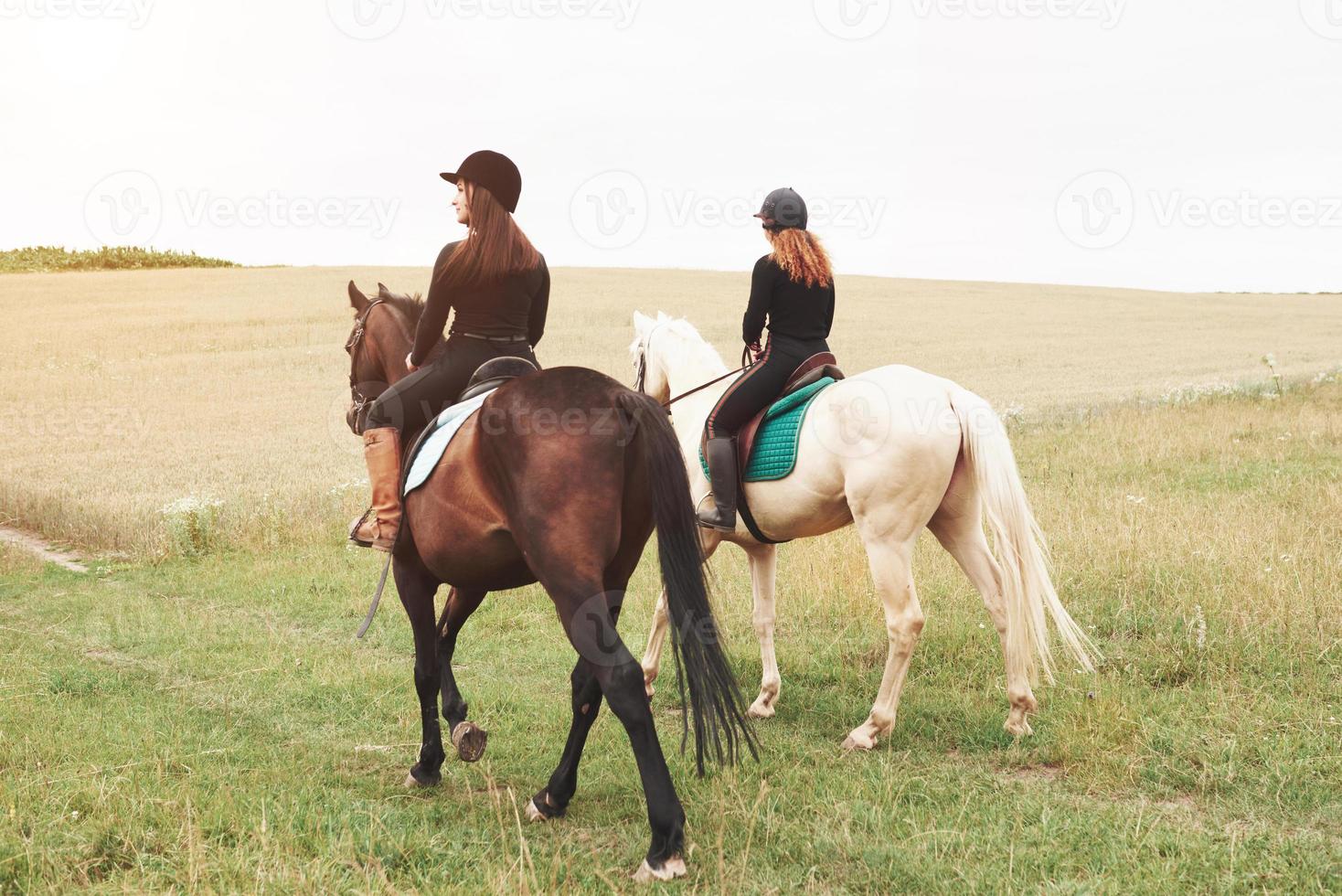 två unga vackra tjejer som rider på en häst på ett fält. de älskar djur och ridning foto