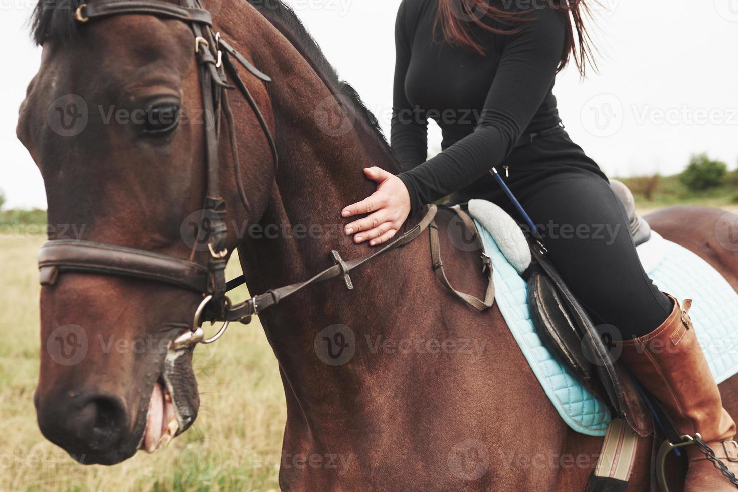 närbild bild av ung vacker kvinna rider en häst foto