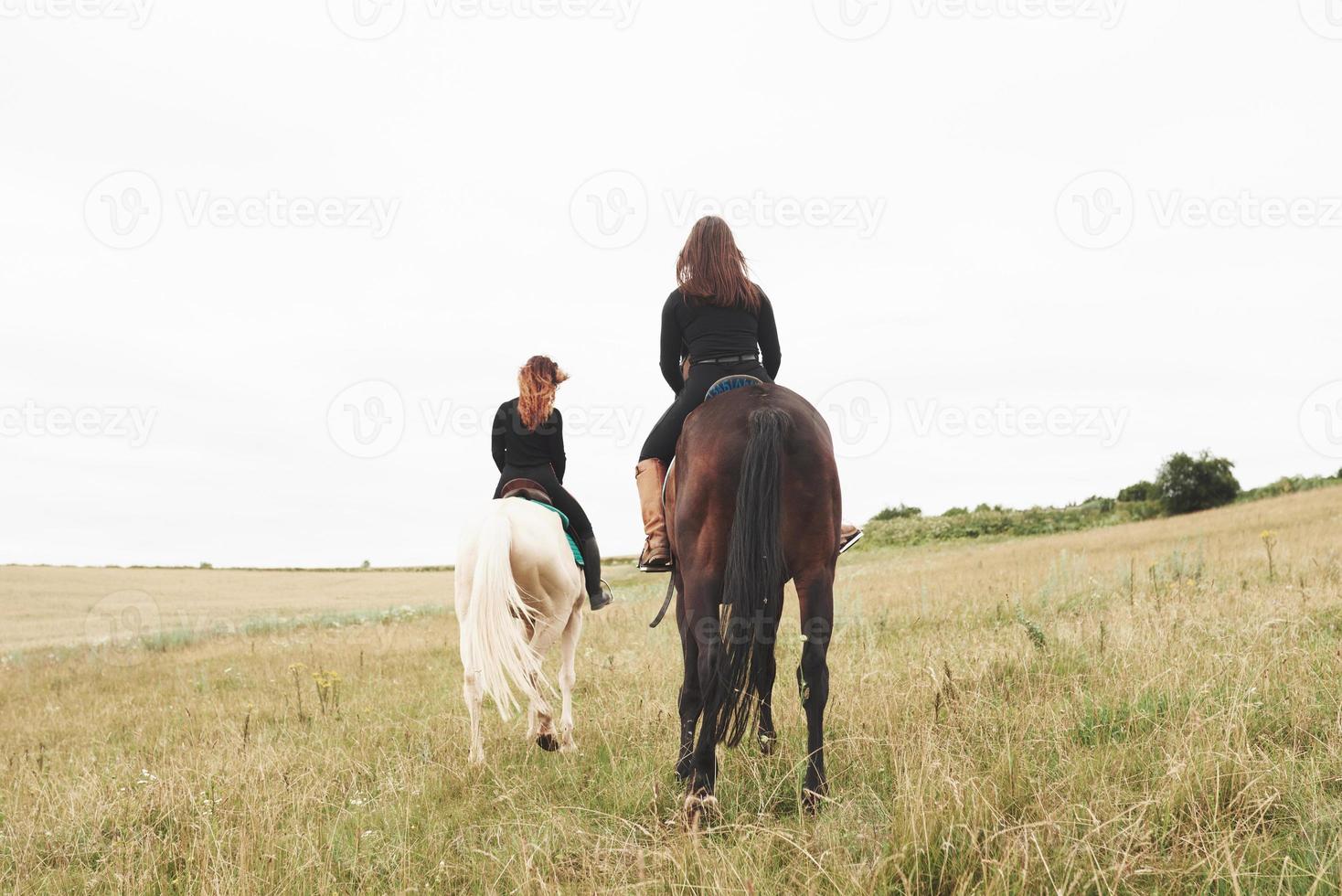 två unga vackra tjejer som rider på en häst på ett fält. de älskar djur och ridning foto