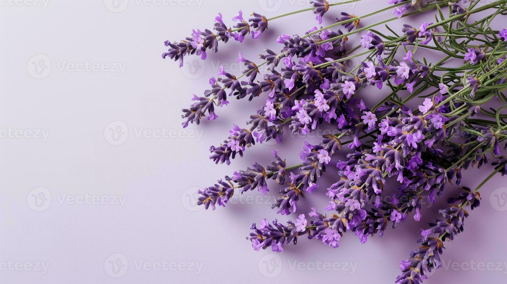 ai genererad knippa av lavendel- blommor på en ljus lila bakgrund foto