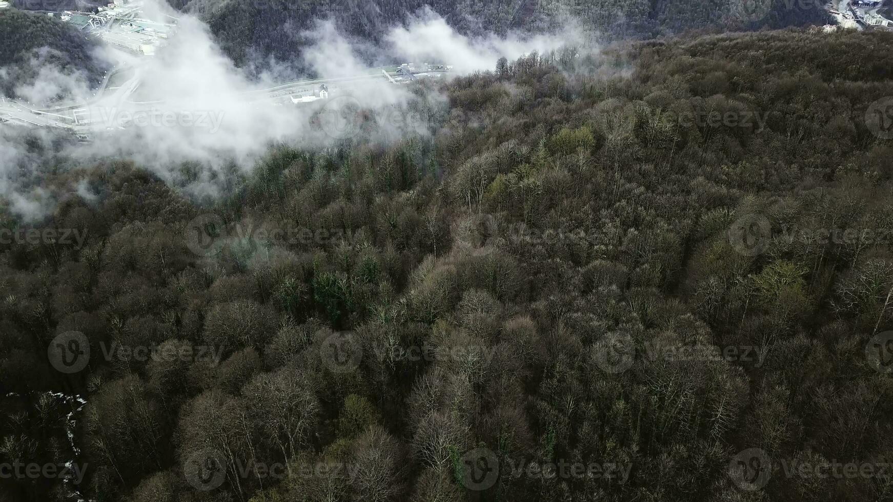 antenn se av dal och ström i falla säsong. stock antal fot. höst skog, träd bakgrund med frysta smal ström, skönhet av natur begrepp. foto