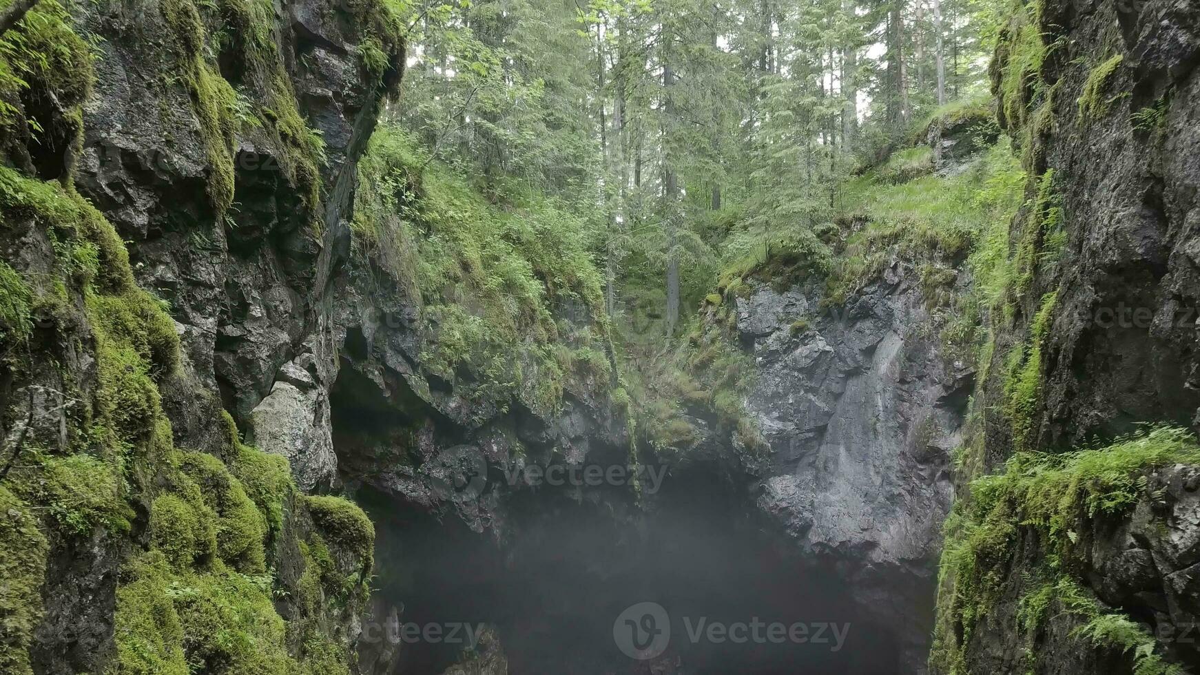 topp se av klyfta mellan stenar i skog. stock antal fot. två klippor täckt med mossa hänga över små klyfta med dimma på bakgrund av skog. klyfta suggestivt rädsla din mystisk dis foto