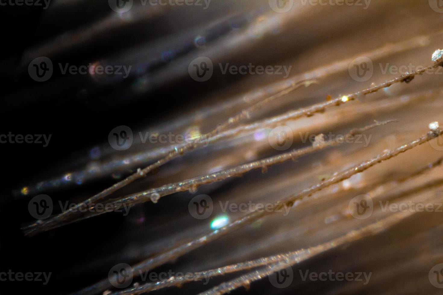 sminkborstfibrer under mikroskopet foto