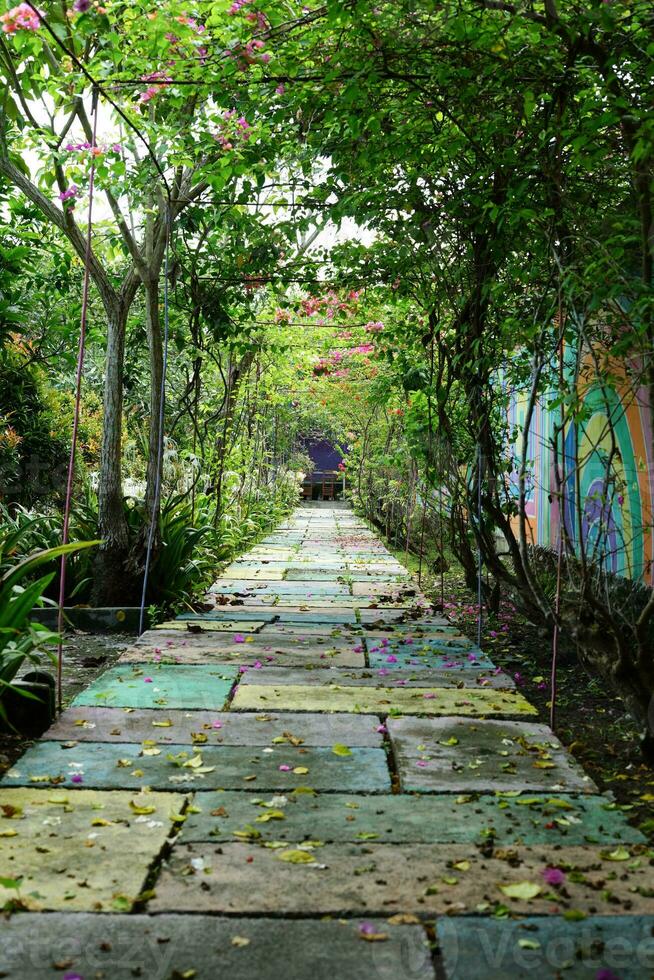 en grön archway i de parkera på sommar. grön växt tunnel pergola med klättrande växt foto