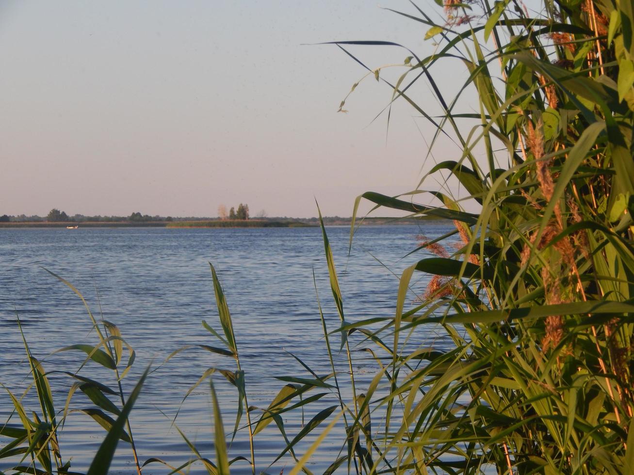 flodpanoramabakgrund och landskapskust foto