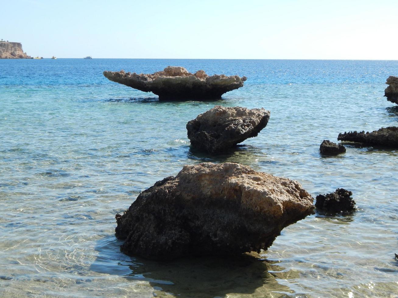 stenstruktur på det röda havet i Egypten foto