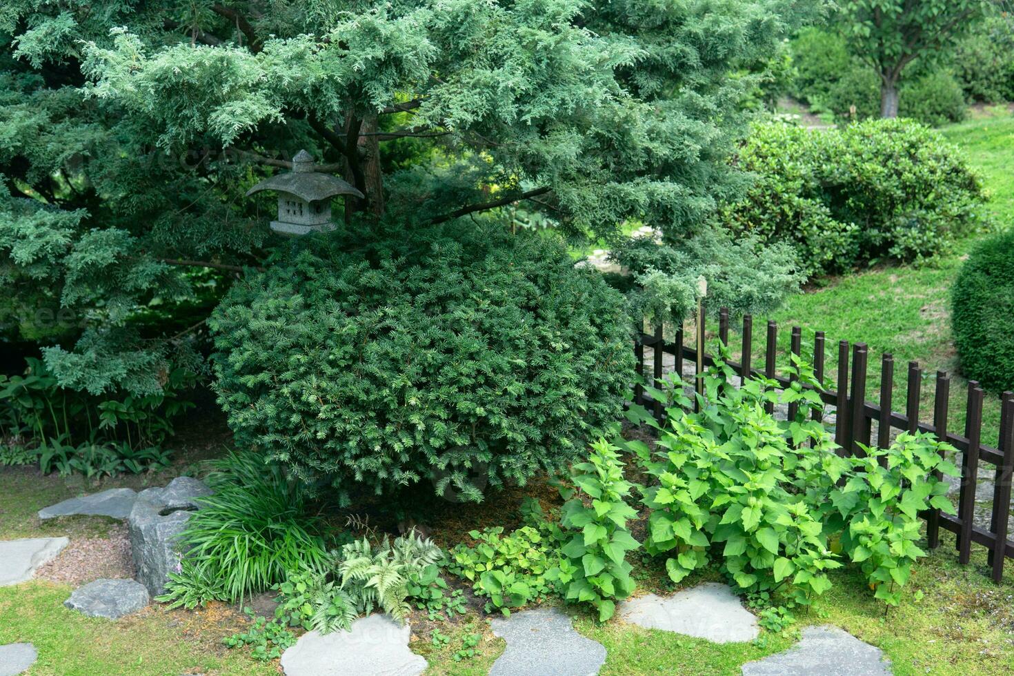 japansk trädgård landskap med sten lykta under tall träd foto