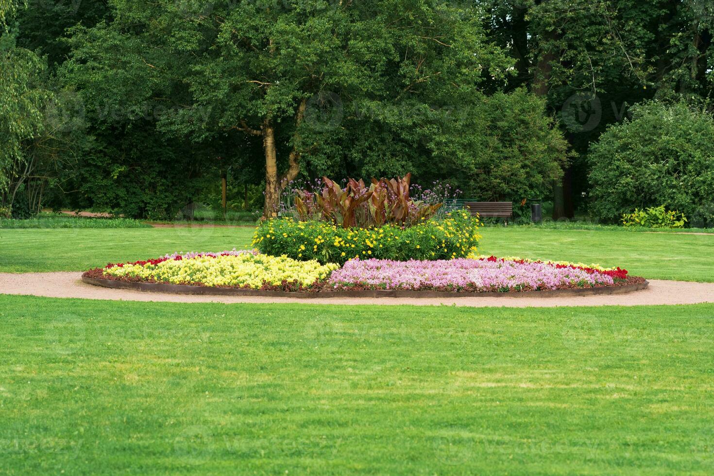 stor blomma säng i de mitten av en gräsmatta i en parkera foto