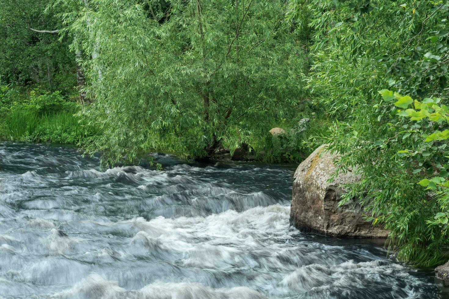 snabb berg flod mellan trädbevuxen banker foto