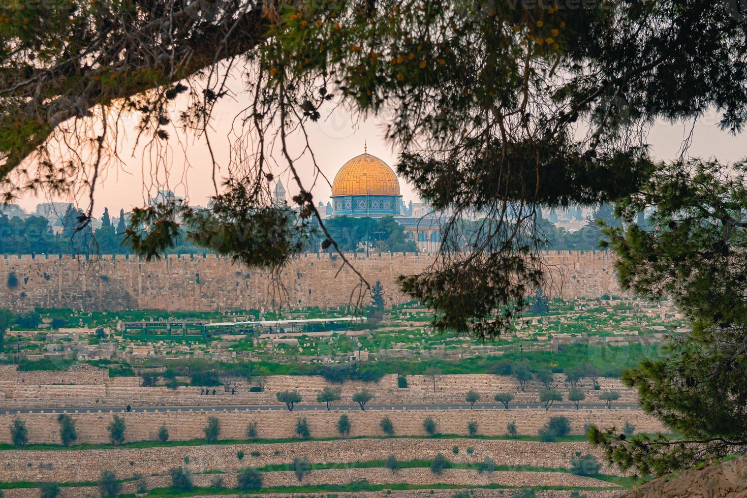 panoramautsikt över Jerusalems gamla stad och tempelberget genom ett träd under en dramatisk färgglad solnedgång foto