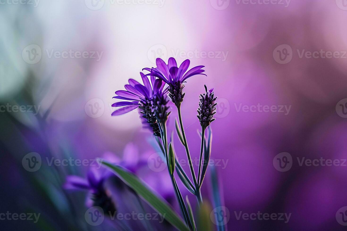 ai genererad en stänga upp av en lila blomma med suddigt bakgrund foto