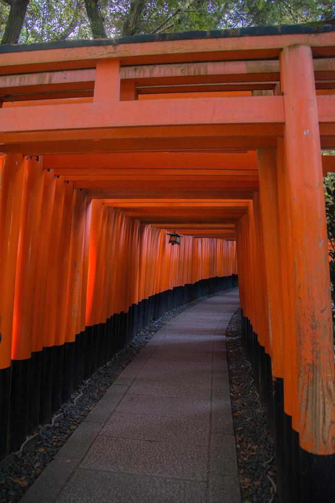 gångväg med en tunnel av röda torii -portar vid fushimi inari, japan foto