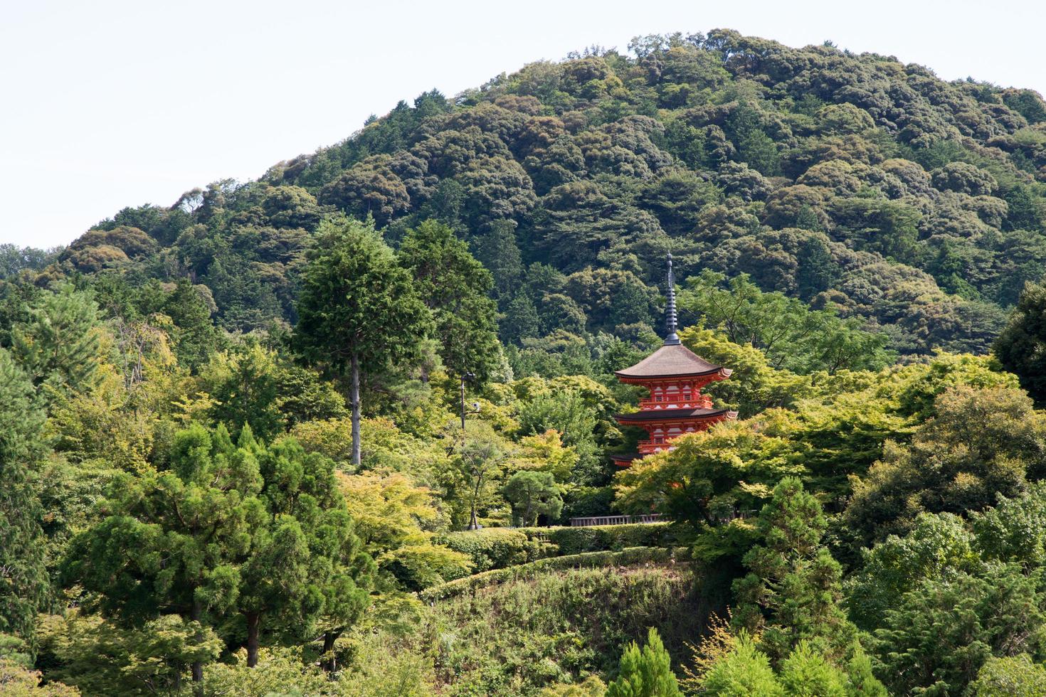 vackert rött tempel i en grön skog nära kyoto, japan foto