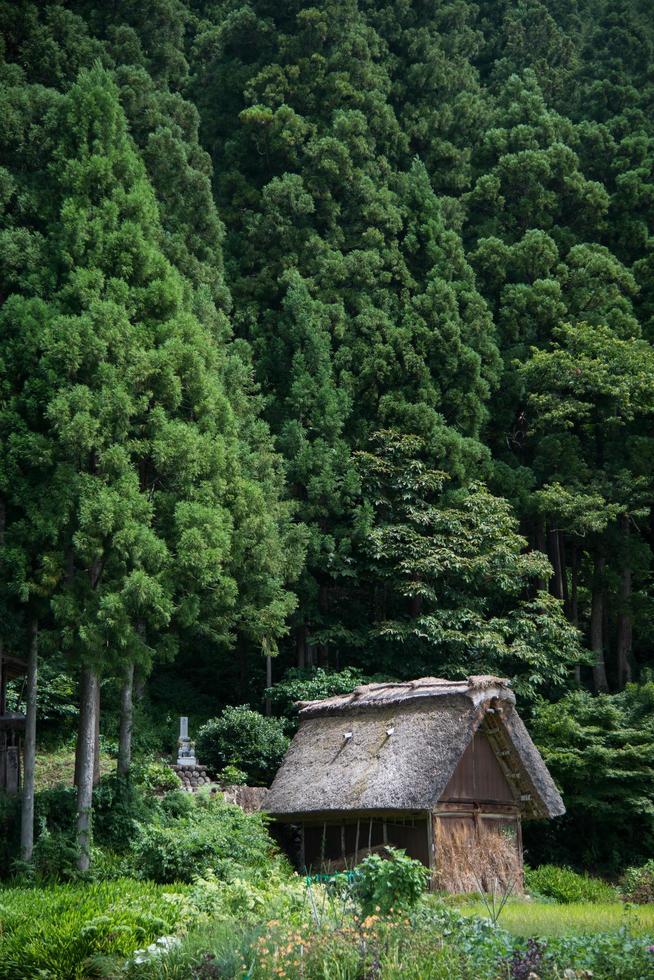 traditionellt trähus nära en skog med stora träd. shirakawa go, japan foto