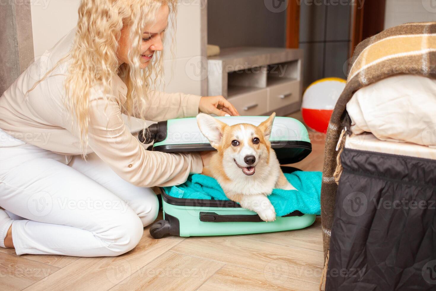 kvinna sätter corgi hund, valp, in i resväska. förberedelse för resa, ankomst på hotell, äventyr, turism. kärlek och vård för sällskapsdjur, transport av djur. boll. foto