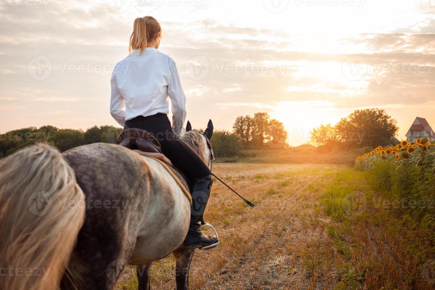 kvinna förälskelser en häst. kärlek och vänskap för de djur, vård foto