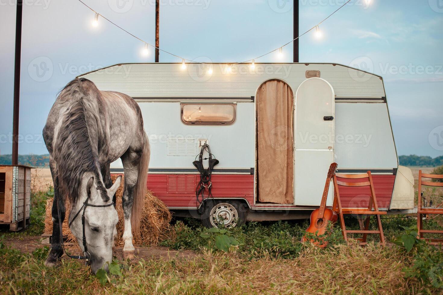 grå häst, mobil trailer, lysande krans foto